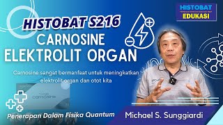 HISTOBAT S216  CARNOSINE ELEKTROLIT ORGAN  TCM dan Fisika Kuantum [upl. by Chud293]