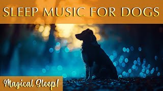 Magical Sleep Music for Dogs and Humans 🐶💤 Deep Harmony [upl. by Oiliduab179]