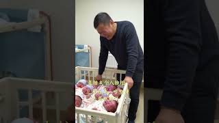 The octuplets immediately collapsed Octuplets 10 months pregnant the cutest newborns ever seen [upl. by Sirromal776]