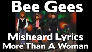 The Bee Gees  Misheard Lyrics  More Than A Woman [upl. by Hemetaf]