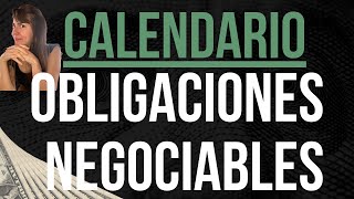 OBLIGACIONES NEGOCIABLES ingresospasivos en dolares CALENDARIO 2023 [upl. by Welcome]