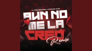 Aun No Me La Creo Remix [upl. by Gerk]