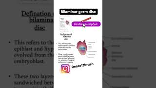 bilaminar layer germ disc dentalmasteryhub dentalstudenteducation dentist youtubeshorts [upl. by Aynnek]