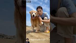 Alex Ne Machli pakad li🐠😍 dog funny pets story [upl. by Mikiso176]