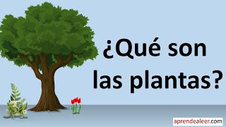 Que son las plantas para niños  diferencia entre plantas y animales [upl. by Halak]