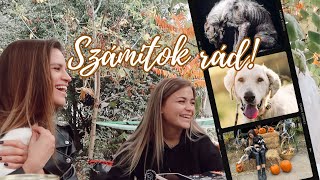 Számítok rád  Egy szuper délután a debreceni menhelyen amp a ti állatkáitok 🐶🐱│ Karin Dragos [upl. by Alathia489]