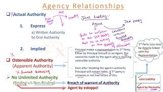 Contract of Agency  Law  Lecture 14 [upl. by Nej537]