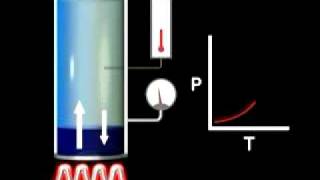 Vapor Pressure vs Temperature [upl. by Adnorhs427]