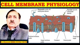 Human CELL Membrane PHYSIOLOGY Lectures by Dr Alamzeb [upl. by Jenna]