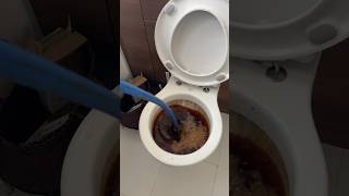 Toxic waste ☢️ youtube youtubeshorts viral viralvideo satisfying trending [upl. by Miharbi286]