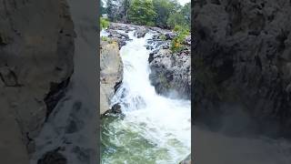 📍Hoenakkal WaterfallsNatures Beauty  Part 2  Kannada Travel Vlog Izameerwithnatureshorts [upl. by Akemihs]