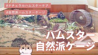 ハムスター自然派ケージ Naturalistic Hamster Enclosure [upl. by Arabeila]