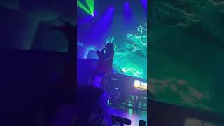 Don Toliver amp Kali Uchis LIVE in SF  Drugs amp Hella Melodies [upl. by Esineg]