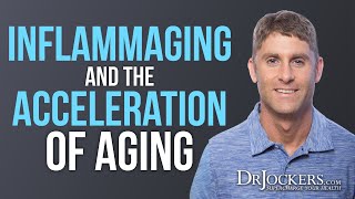 Inflammaging The Role of Inflammation in the Acceleration of Aging [upl. by Adnawed562]