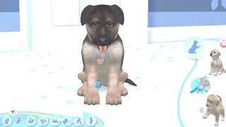 Dogz 2  gameplay [upl. by Myra]