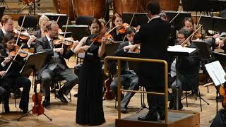 Hilary Hahn – Sibelius Violin Concerto Vienna Philharmonic 2013 Live [upl. by Hako660]