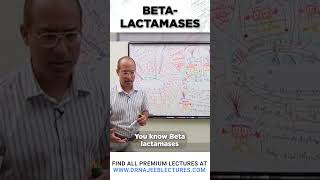 Beta Lactamases drnajeeb drnajeeblectures shortvideostatus [upl. by Airamzul]