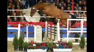 wwwdressurstallsandbrinkde 2017 HIGH LEVEL stallion by HEARTBREAKER [upl. by Anawot]