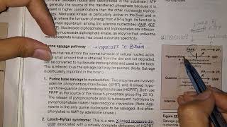 Purine Salvage Pathway Chapter 22 Part 3 Biochemistry Lippincott [upl. by Demona]