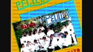 BANDA PELILLOSLINDAA [upl. by Acirt]