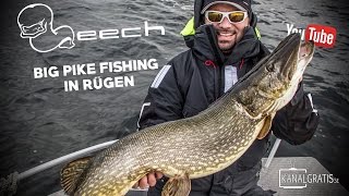 Leech TV  Big Pike Fishing in Rügen [upl. by Orestes]