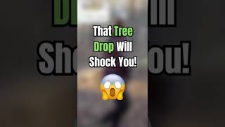 Tree Drop will Shock You [upl. by Roanna]