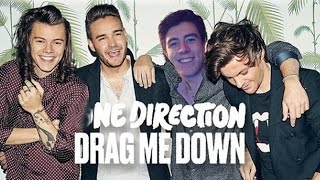 One Direction  Drag Me Down  Official Song Cover w TheCampingRusher [upl. by Spieler]