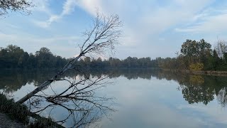 Parco dei Laghetti  Martellago VE  Veneto [upl. by Neuberger180]