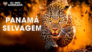 PANAMÁ SELVAGEM  O Paraíso Tropical e as Criaturas que Reinam Sobre Ele  Documentários animais [upl. by Denni300]