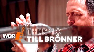 Till Brönner feat by WDR BIG BAND  Thermo [upl. by Eldrid]