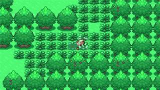 Pokemon Flora Sky Walkthrough Part 2  Puel City amp Mystic Town [upl. by Noemys620]