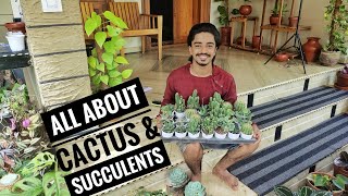 Cactus amp Succulents അറിയേണ്ടതെല്ലാം Growing TipsCarePropagationWatering Lighting in Malayalam [upl. by Alegnad]