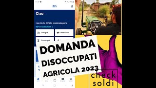 domanda disoccupazione agricola controllo online soldi 2023 app INPS mobile ਐਪਲੀਕੇਸ਼ਨ ਚੈੱਕ ਔਨਲਾਈਨ [upl. by Prima]