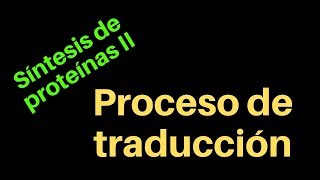 Síntesis de proteínas II Traducción [upl. by Eicram]