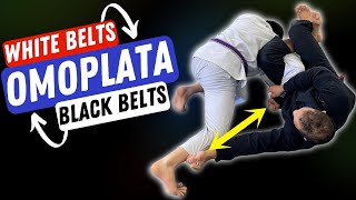 5 Ways To Set Up Omoplata Attacks All Belts Must Know [upl. by Solorac136]