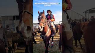 Horses market equestrain shorts horse asmr [upl. by Malinde84]