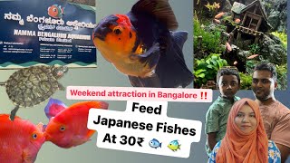 Karnataka’s biggest Aquarium  Weekend attraction in Bangalore Fish feeding [upl. by Gurango839]