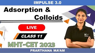 Adsorption and Colloids  Impulse 30  MHTCET 2023 [upl. by Akehs]