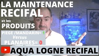 Aquarium Récifal  MAINTENANCE Et Produits utilisés [upl. by Ajaj472]