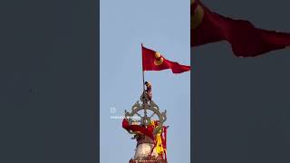 Jagannath Darshan 🙏 Jai Jagannath 🙏 Puri Jagannath Temple jagannathtemple odisha devotional oacc [upl. by Magen]