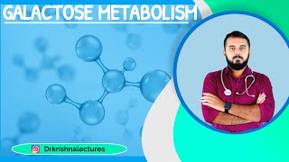 Galactose metabolism [upl. by Pressey991]