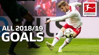 Timo Werner  All Goals 201819 [upl. by Adnowat]