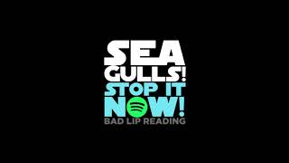 Seagulls Stop It Now Official Audio Version  Bad Lip Reading [upl. by Coraline]