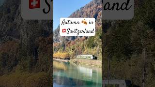 Switzerland🇨🇭during Autumn Swiss 🍁fall foliage Autumn landscape Switzerland shorts [upl. by Pascha822]