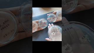 Bacterial Culture Microbiology  Biotechnology [upl. by Aleekahs545]