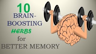 10 BrainBoosting Herbs for Better Memory  Nature Care 2017 [upl. by Themis56]