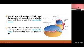 BDS I 404 I ORTHODONTICS I Growth and development of craniofacial region Embryology I DR R P MAURYA [upl. by Hsetih]