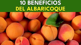 10 Beneficios Saludables del Albaricoque  BENEFICIOS SALUDABLES [upl. by Nimaynib]