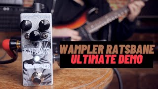 Wampler Ratsbane  Ultimate Pedal Demo [upl. by Zelma]