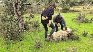 La que tenemos aquí liada madrita mía [upl. by Editha]